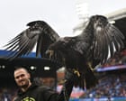 Animal rights group urges Crystal Palace to retire bald eagle mascot